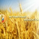 О поступлении в Ивановскую область зерна и продуктов его переработки в апреле